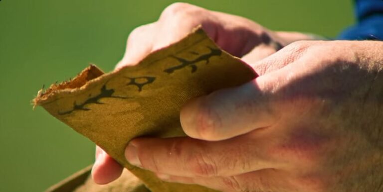 Survivor Season 51 Premiere: Release Date, Open Era Twist, Cast Rumors, and What to Expect This Fall 2026 Survivor Season 51 Premiere: Release Date, Open Era Twist, Cast Rumors, and What to Expect This Fall 2026