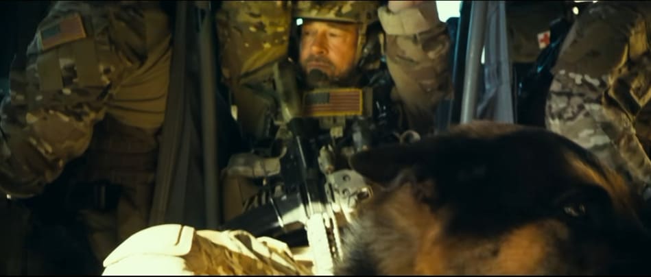What Breed is the Dog Odin in Heart of the Beast? Meet Brad Pitt's Canine Star What Breed is the Dog Odin in Heart of the Beast? Meet Brad Pitt's Canine Star