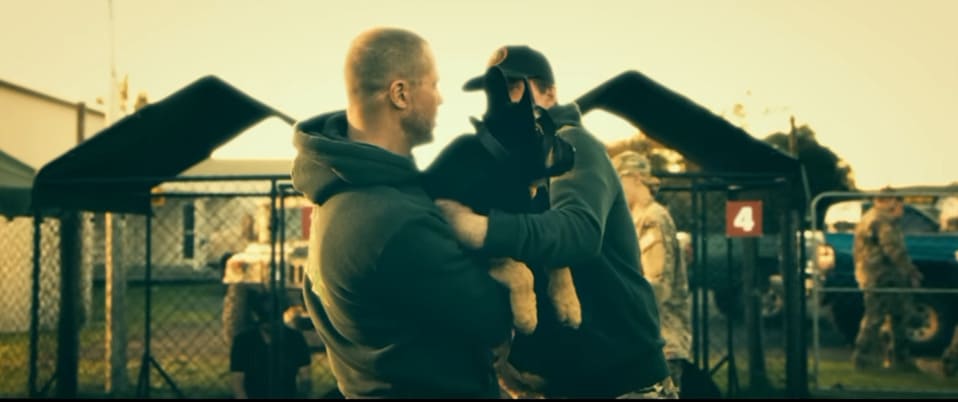 What Breed is the Dog Odin in Heart of the Beast? Meet Brad Pitt's Canine Star What Breed is the Dog Odin in Heart of the Beast? Meet Brad Pitt's Canine Star