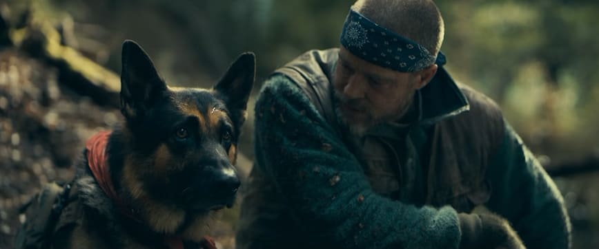 Does the Dog Die in Heart of the Beast (2026)? Odin's Fate Explained Does the Dog Die in Heart of the Beast (2026)? Odin's Fate Explained