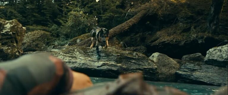 Heart of the Beast 2026 Ending Explained: Does the Dog Die in Brad Pitt's Survival Movie? Heart of the Beast 2026 Ending Explained: Does the Dog Die in Brad Pitt’s Survival Movie?
